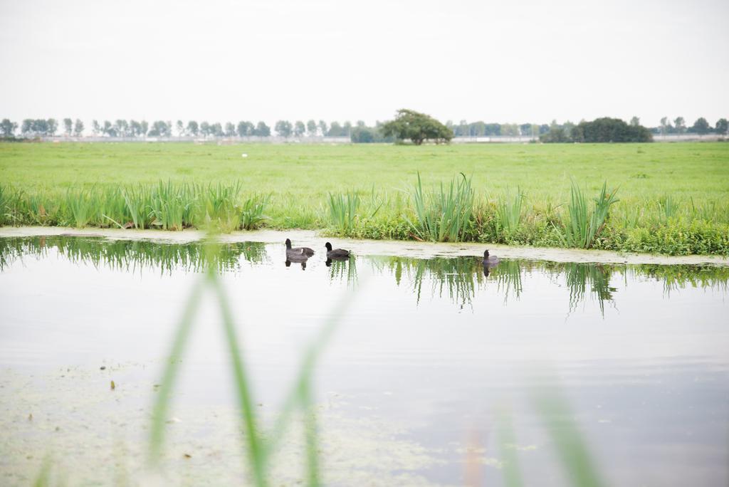 ReeuwijkHet Stalhuysアパートメント エクステリア 写真